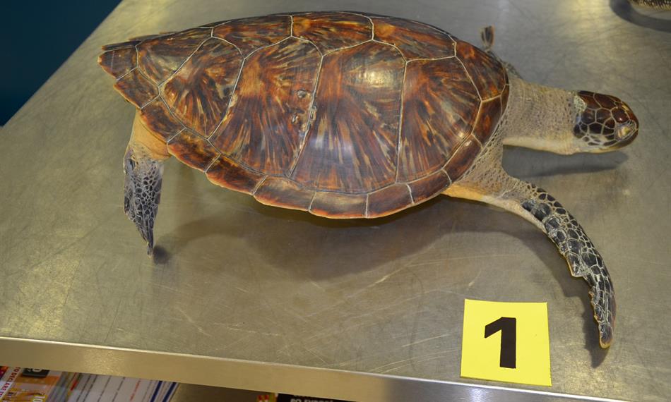 2016-6-28-817foto 7.jpg